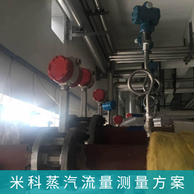 飽和蒸汽計量系統(tǒng)解決方案